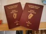 ‘Strong business case’ for Passport Office ‘cannot currently be made’ says Micheál Martin