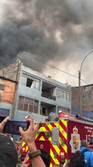 Man Scales Burning Building to Rescue Family Dog on Roof