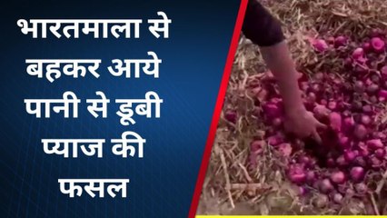 ओसियां: बिपरजाॅय तुफान का कहर, देखें यहाँ भारत माला सड़क टूटने से खेतों में यूं आई तबाही