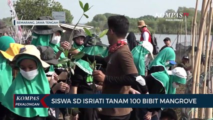 65 Siswa SD Isriati Baiturrahman 1 Semarang Tanam 100 Bibit Mangrove di Pantai Mangunharjo