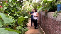 Santuario de mariposas