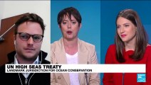 UN high seas treaty: Landmark jurisdiction for ocean conservation