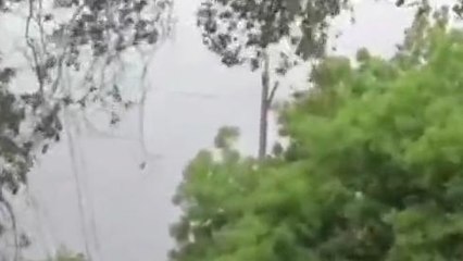 मुरैना: अंचल में भी दिखा बिपरजॉय का असर,बारिश के साथ तेज हवा का दौर जारी