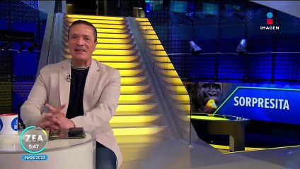 Gorila deja salir una flatulencia