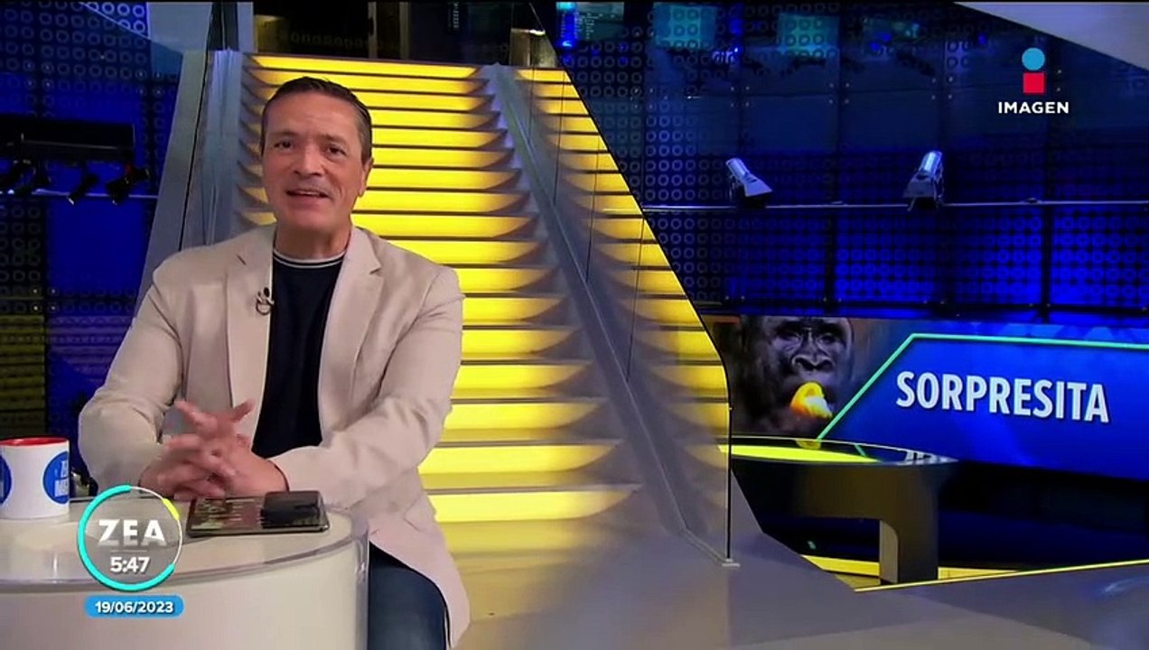 Gorila deja salir una flatulencia