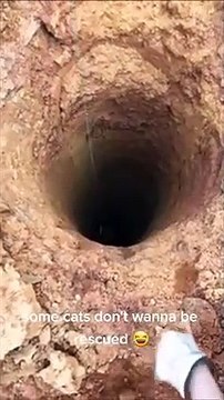 Il sauve un chat tombé dans un trou, mais il ne veut pas être sauvé
