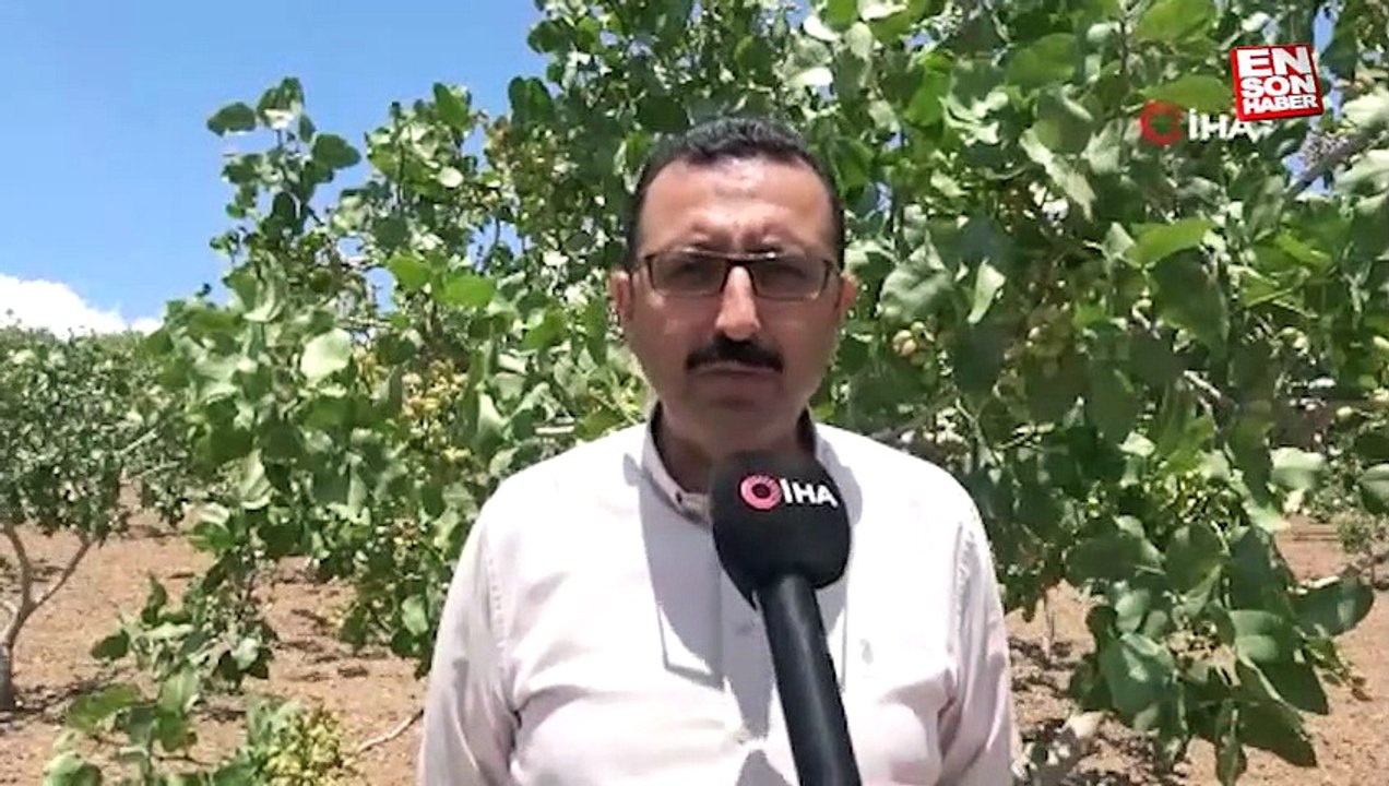 Siirt’ten ülke ekonomisine 10 milyar TL katkı