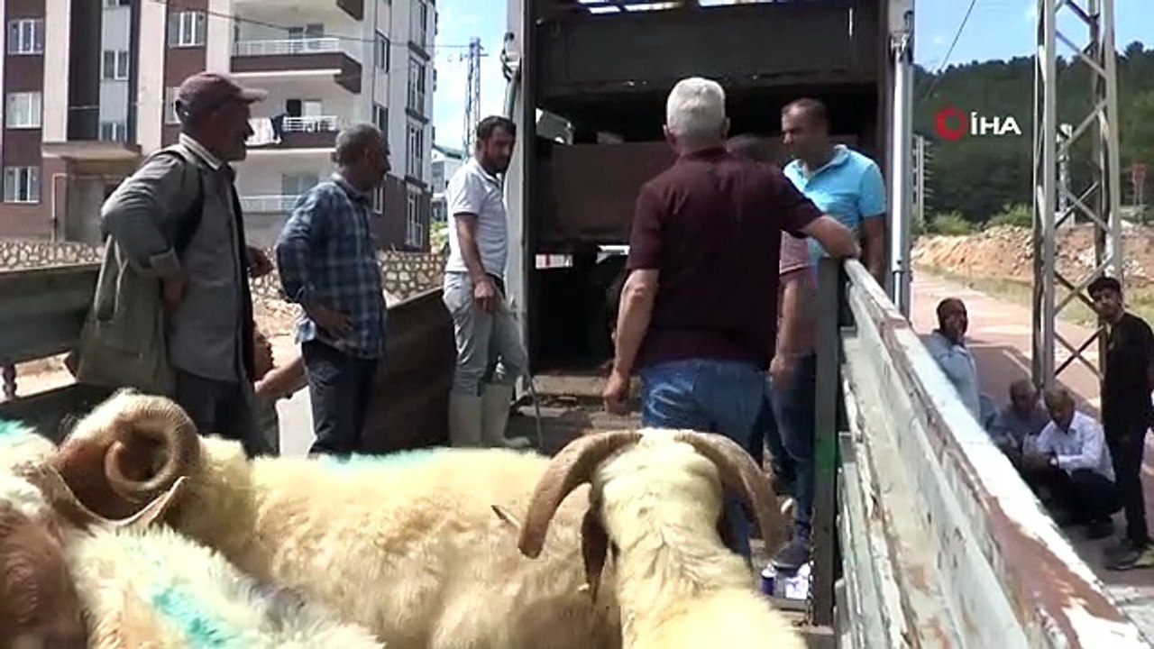 Des animaux ont été distribués à ceux qui ont perdu leurs animaux dans le tremblement de terre