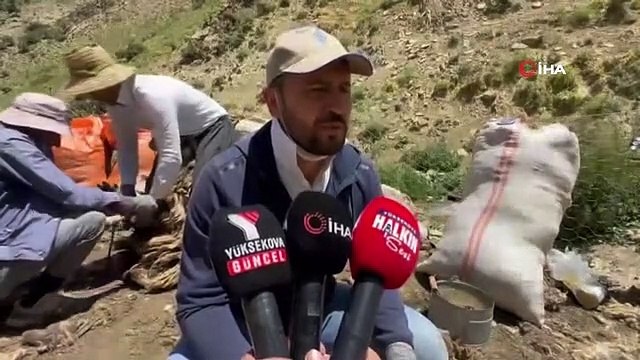 Yüksekova'da koyun kırkma mesaisi