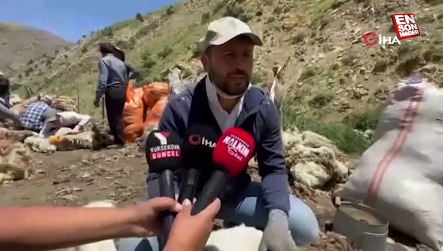 Yüksekova’da koyun kırkma mesaisi