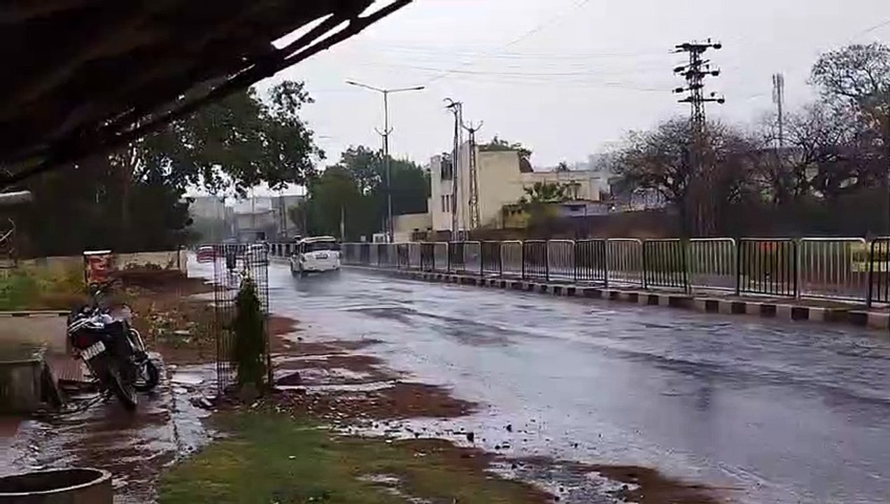 चक्रवात बिपरजॉय धौलपुर में भी दिखा रहा असर,दिनभ...