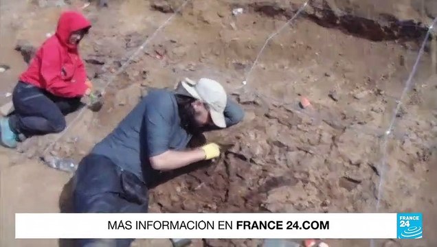 Científicos identifican fósiles del 'Gonkoken nanoi', un dinosaurio que habitó la Patagonia chilena