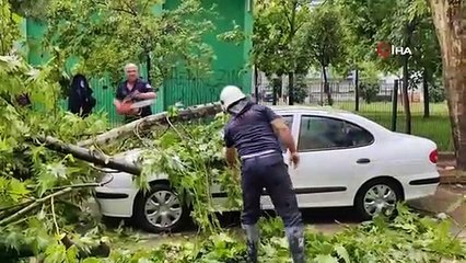 Il a échappé à la mort en quelques secondes, a cueilli des cerises après ce qui lui est arrivé
