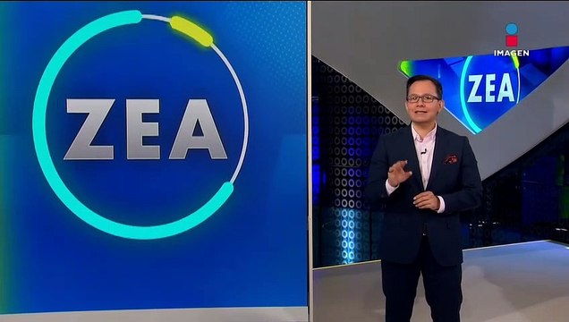 Cisnes aman la amapola
