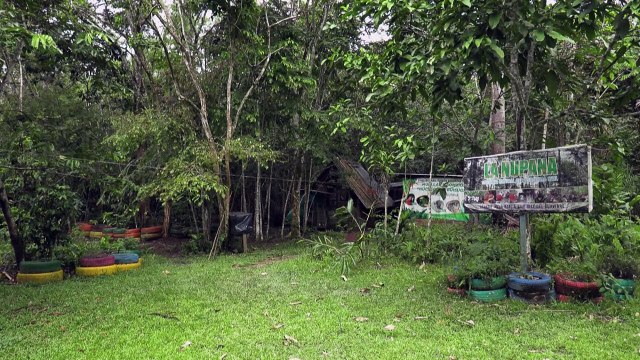 Ex-pecuaristas da Amazônia colombiana agora lutam pelos animais