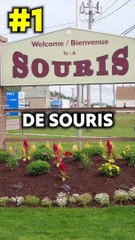 Les lois les plus DÉBILES au CANADA 