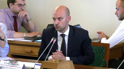 CE TikTok : "Le DSA n’impose pas explicitement la vérification d’âge, il l’évoque"