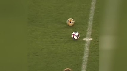 Un supporter des San Jose Earthquakes réalise l’impensable !