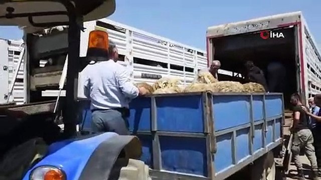 Appui du Ministère de l'Agriculture et de la Forêt aux producteurs dont les animaux ont été détruits lors du tremblement de terre