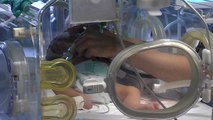 Investigadores de Barcelona logran la viabilidad de una placenta artificial
