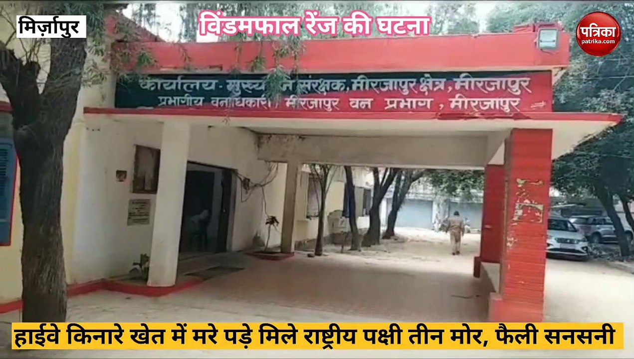 Mirzapur video: हाइवे के किनारे मिला राष्ट्रिय...