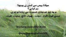 Maulana Jalal-Ud-Din Rumi Qoutes ||Urdu|| ۔ مولانا جلال الدین رومی