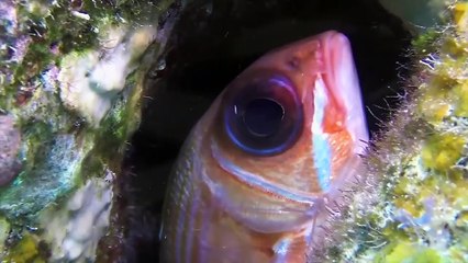 Music for Your Cardio Workout Routine  Top Models, Music video 2023