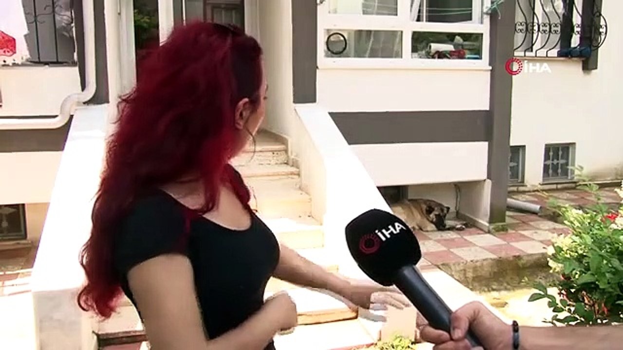 Les allégations de coups de pied au chien ont fait un gâchis : deux voisins se sont croisés comme ça