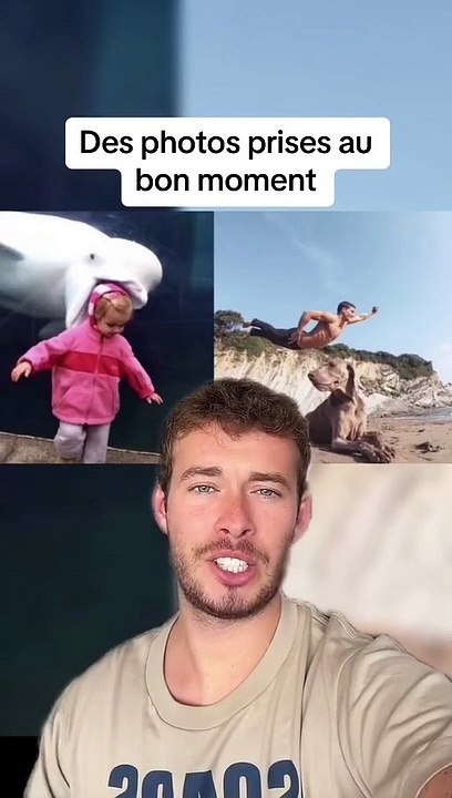Des photos prises au bon moment