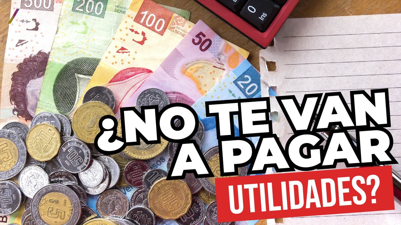 Esto puedes hacer si NO TE PAGARON TUS UTILIDADES