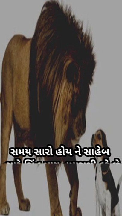 સમય બલવાન છે સાહેબ માણસ નહીં#gujaratisuvichar