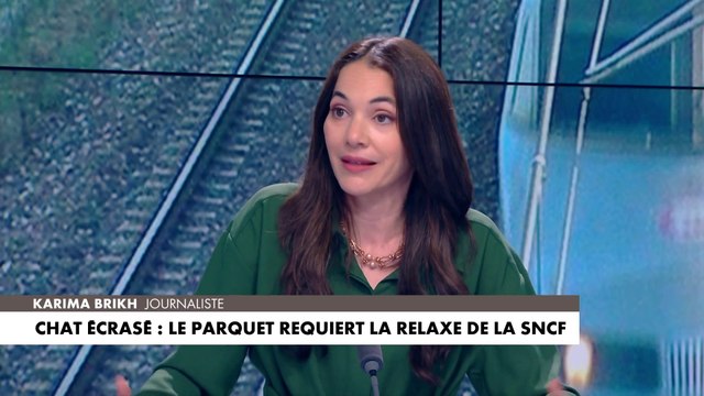 Karima Brikh sur le chat écrasé par un train SNCF : «Un effort aurait pu être fait pour sauver cet animal»