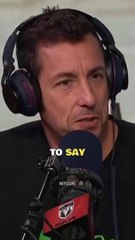 Adam Sandler Jokes About House Chores