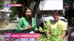 Integrantes de la organización Ciudad Bosque plantan árboles para combatir el calor