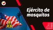 Tras la Noticia | EE.UU. intenta crear un ejército de mosquitos para transmitir enfermedades