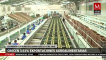 Exportaciones agroalimentarias aumentaron 3.5% durante primer cuatrimestre del año