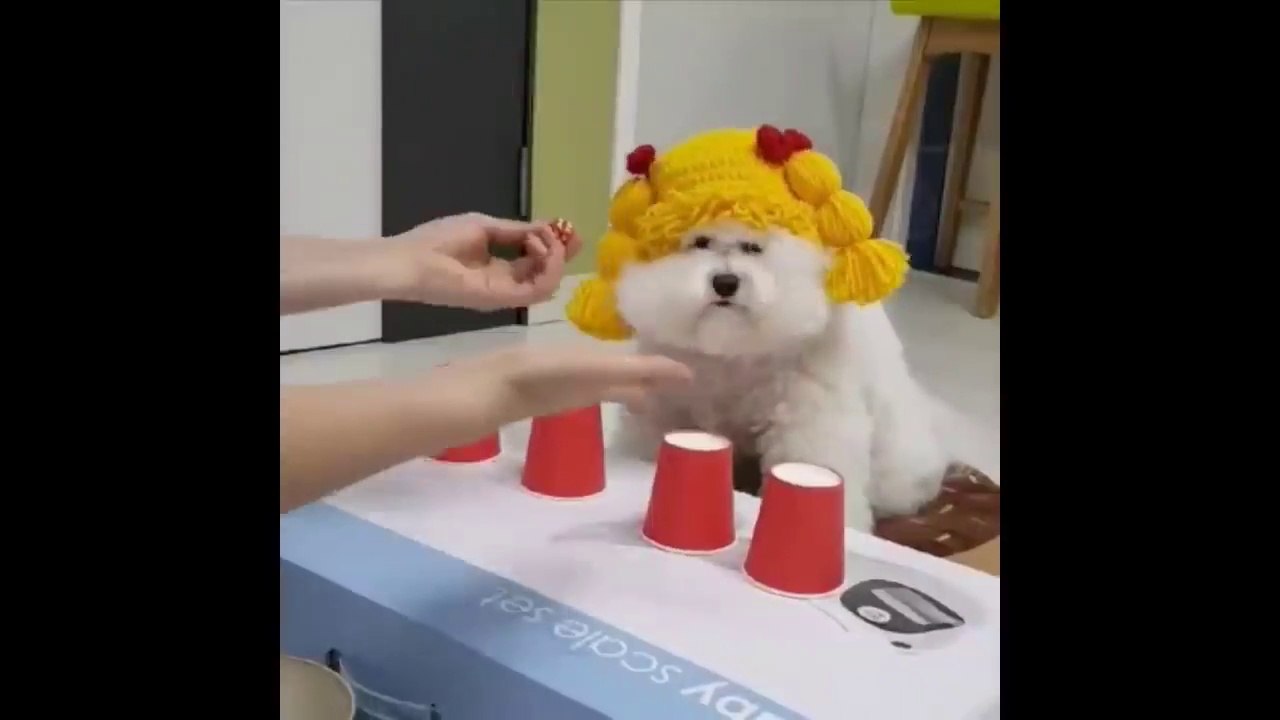 Cutest Animals_ Cute baby animals Videos Compilation cute moment of the animals 2023/ funny cute baby animals videos compilation