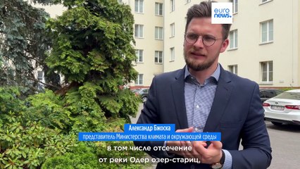 Экокризис Одера: из реки вновь выловили тонну мертвой рыбы