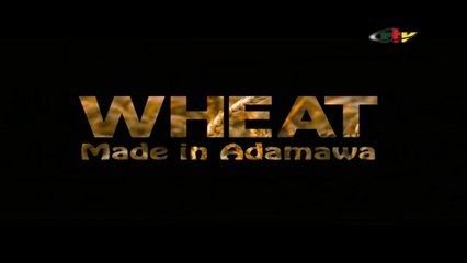 Magazine CRTV Adamaoua: Wheat Made In Adamaoua - June 21, 2023
