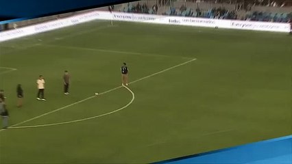 [스포츠영상] 축구팬 폼 미쳤다…메시도 울고 가겠네