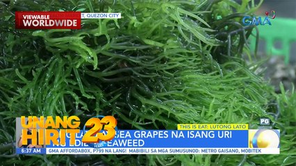 This is Eat- Lutong lato, susubukan nina Chef JR Royol at Cheska Fausto | Unang Hirit
