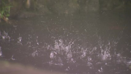 [날씨] 흐리고 불볕더위 누그러져...늦은 밤부터 내륙 60mm 비 / YTN