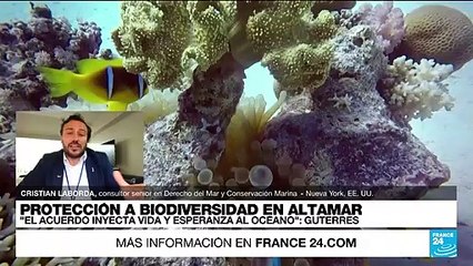 Cristian Laborda: 'Después de 15 años se acuerda avanzar en la protección del océano'