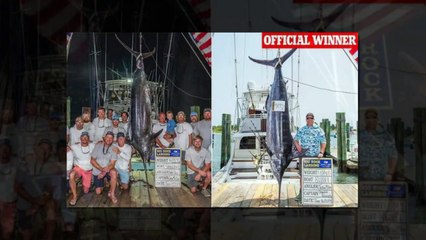 Fishing crew denied $3.5M in prize money after 600-pound marlin DQ’d in tournament