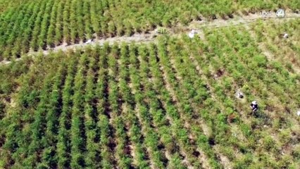 Llaman investigadores a revisar el actual modelo de consumo para evitar un suicidio colectivo