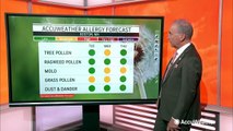 Your mid-June AccuWeather allergy forecast