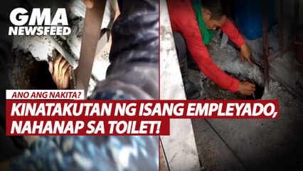 Kinatakutan ng isang empleyado, nahanap sa toilet! | GMA News Feed