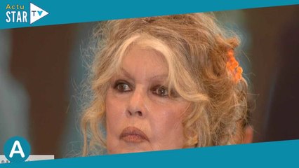 « Je n’étais pas assez mûre pour être mère » : Brigitte Bardot se confie sur une période de sa vie d