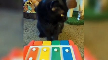 Funny Animal Videos 2023  - Funniest Dogs and Cats Videos  #8_2