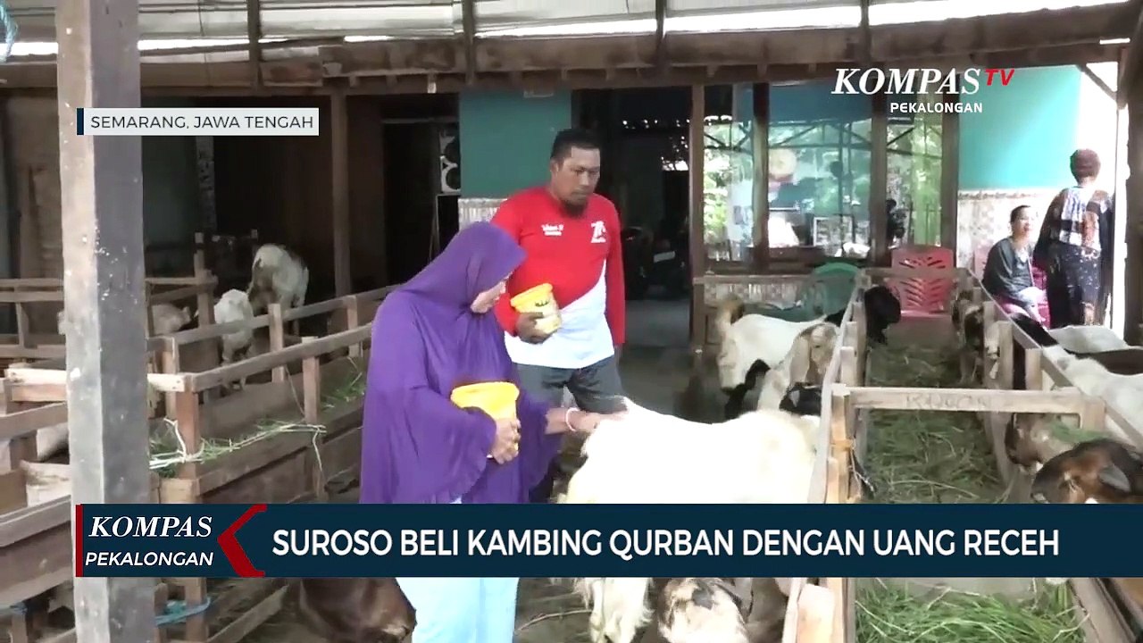 Warga Semarang Tabung Uang Receh untuk Beli Kambing Qurban